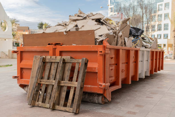 Yard Cleanup Services in Piney Mountain, VA